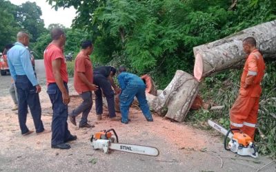 KAPC Lautém Kontinua Halo Intervensaun no Apoia Emenjénsia