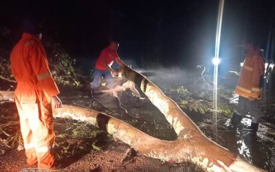 BOMBEIROS MUNISÍPIU ERMERA TESI AI NE’EBÉ TOHAR IHA RAILAKU