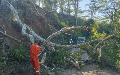 BOMBEROS MUNISÍPIU ERMERA TESI AI NE’EBÉ TOHAR IHA MERTUTU