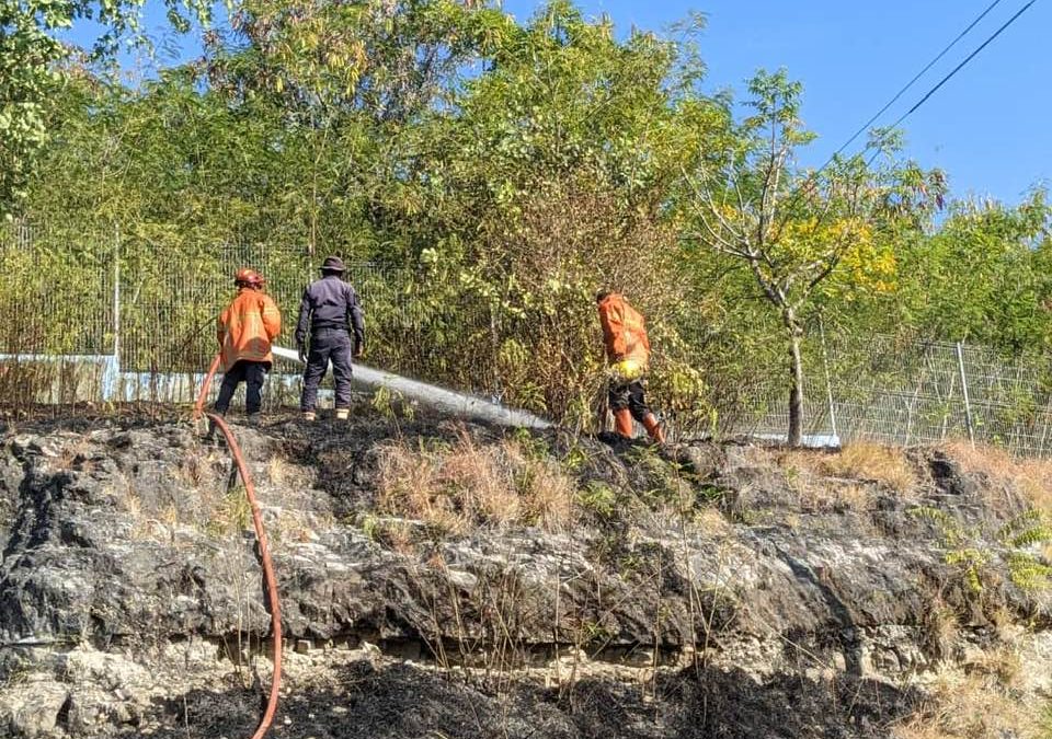 APC RAEOA Halo Intervensaun Kombate Inséndiu Floresta