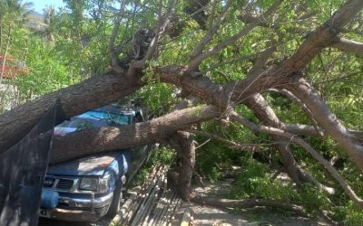 APC  LIQUIÇA APOIU TESI AI NE’EBÉ HANEHAN KARETA