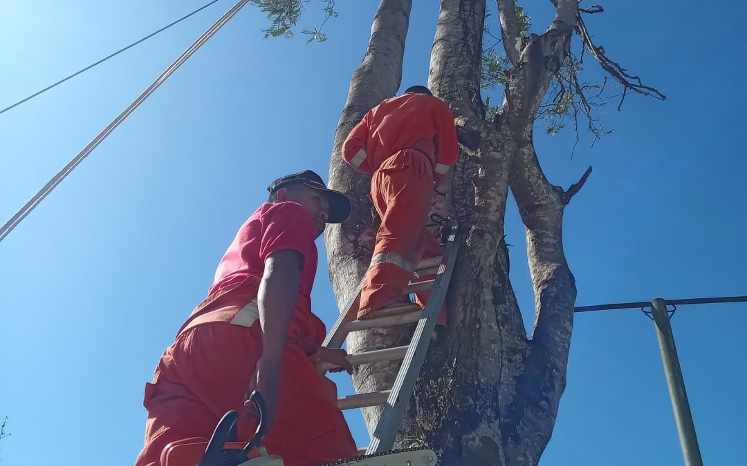 BOMBEIROS MUNISÍPIU ERMERA TESI AI  NE’EBÉ AMESA BA EDEFÍSÍU POSTU F-FDTL GLENO