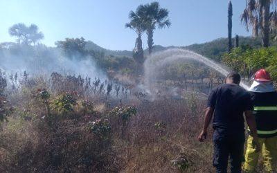 APC BOBONARO KOMBATE INSÉNDIU FLORESTA