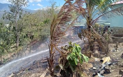 KORPU BOMBEIROS BOBONARO KOMBATE INSÉNDIU FLORESTA