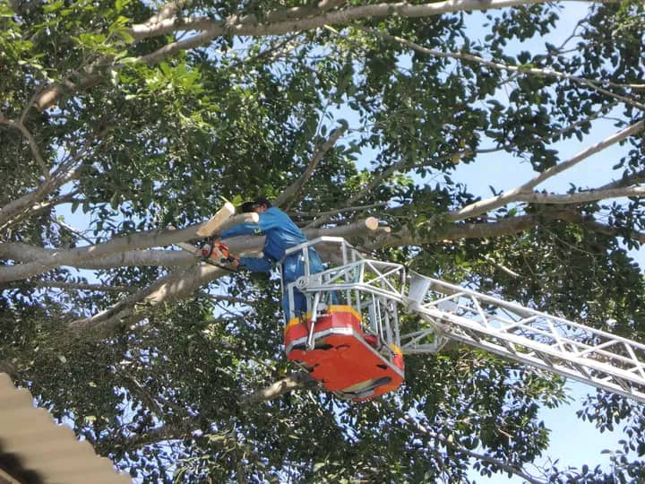 APC MUNISÍPIU BAUCAU TESI AI HUN BOOT RUA NE’EBÉ FÓ AMEASA BA MOVIMENTU PÚBLIKU