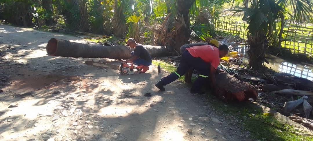 KORPU BOMBEIROS RAEOA TESI AKAR HUN NE’EBÉ MONU IHA ESTRADA PÚBLIKU